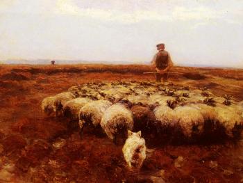 Shepherd on the Meadow